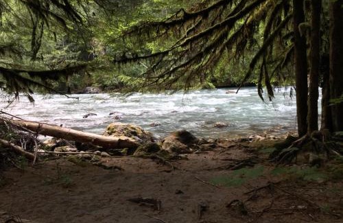 Glacier House | Mt Baker Den, Sleeps 4