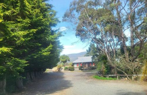 Gray House | Mt Elephant Forrest Cabin