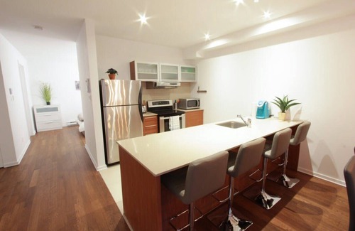 Plateau Mont Royal Apartment | MTLVR #01 | Bright open space, ideal Plateau area