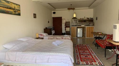 Elbasan County House | Muco Guest House