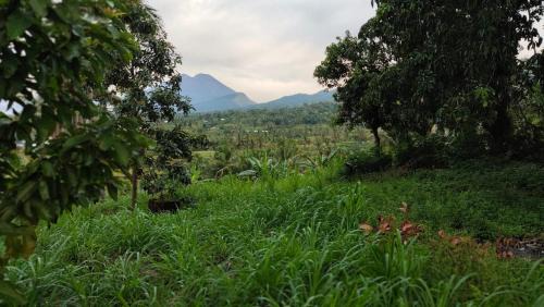 Lombok House | Mudung Keramat Homestay