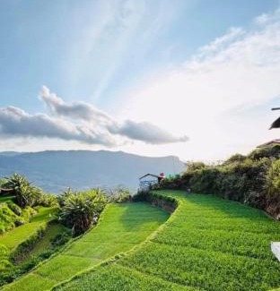 Periyur House | Muffintrip stays camp N trek