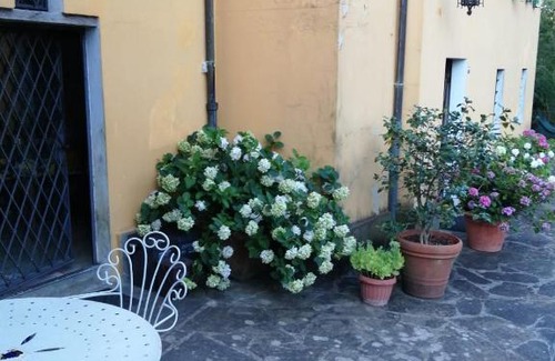 Molezzano Bed & Breakfast | Mugello - casa di campagna
