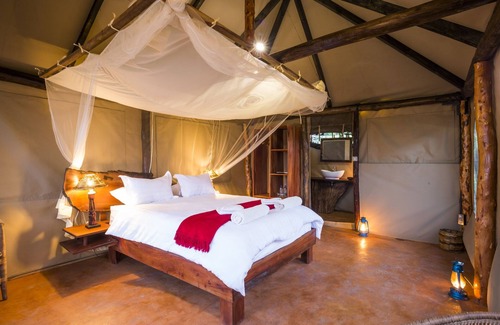 Kafue National Park Other | Mukambi Fig Tree Bush Camp – All Inclusive