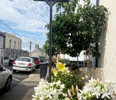 Dun Laoghaire Bed & Breakfast | Mulgrave Lodge