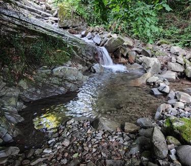 San Romano in Garfagnana Apartment | Mulini di Verrucole