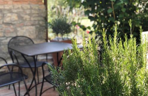 Ponte di Gabbiano Apartment | Mulino in Chianti