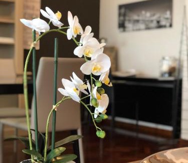 Tudela Apartment | Mundo-Abeona