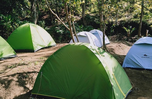 Suryanelli Bed & Breakfast | Munnar Jungle Camp