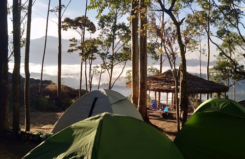 Suryanelli Bed & Breakfast | Munnar Jungle Camp
