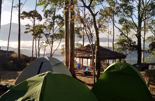 Suryanelli Bed & Breakfast | Munnar Jungle Camp