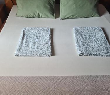 Podturen Apartment | Mura