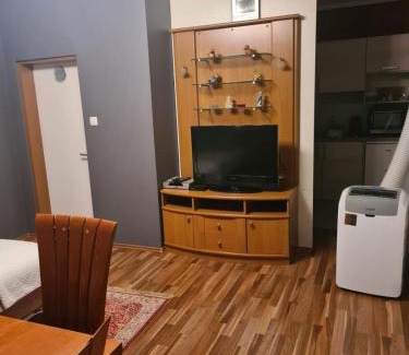 Podturen Apartment | Mura