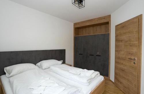 Stadl an der Mur Apartment | Murleben Top 06