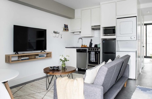 Virginia Highland Apartment | Mustang Sally Summary