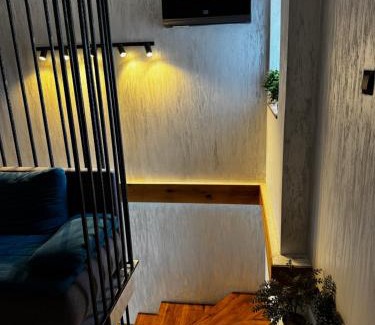 Filiasi House | Muz