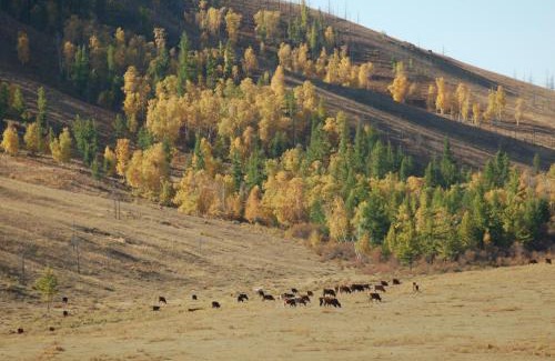 Ulaanbaatar Other | My Mongolia Eco Ger Camp
