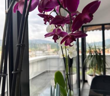 Albania Apartment | My Sky Përmet