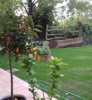 Farigliano Bed & Breakfast | Myricae