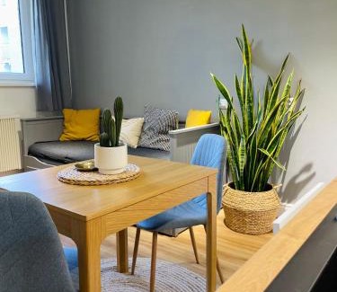 Ostrava Apartment | Myslbekova 16
