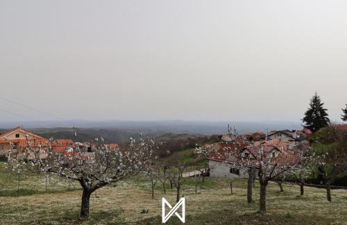 Alfandega da Fe House | MyStay - Casa Pereira Soeima