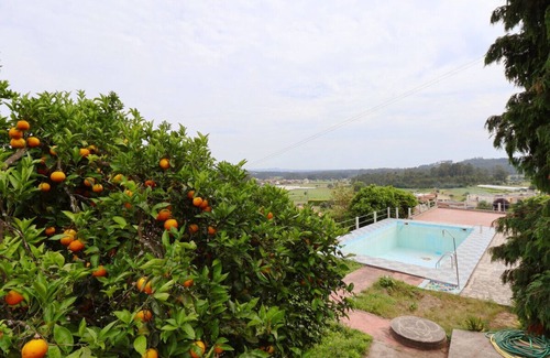 Barcelos House | MyStay - Colina da Felicidade
