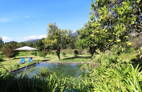 Balanca House | MyStay - Quinta da Balança