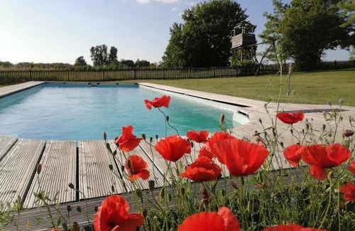 Orgovany House | Nádas Tanya 2 maisons en pleine nature et Piscine