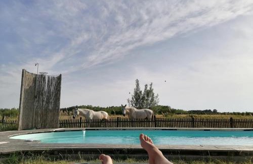Orgovany House | Nádas Tanya 2 maisons en pleine nature et Piscine