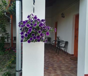 Nagykoru House | Négy Tücsök Vendégház