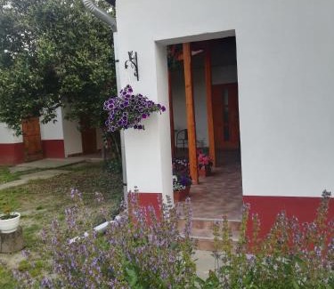 Nagykoru House | Négy Tücsök Vendégház