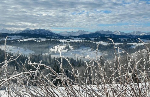 Czerwienne Ski Chalet | Na polanie