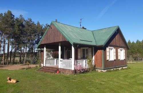 gmina Milejczyce House | Na skraju lasu