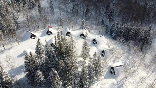 Iiyama Resort | Nabekura Kougen Mori-No-Ie