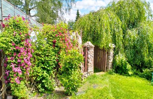 gmina Rutka-Tartak House | Nad żabim stawem