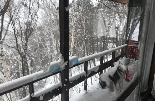 Yuzawa House | Naeba Ski Resort - cabin away from the usual life