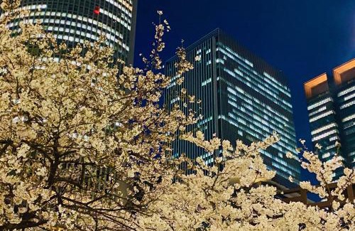Meieki Hotel | Nagoya JR Gate Tower Hotel