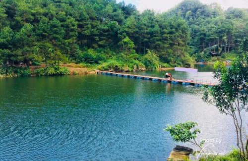 Ngan Son Other | NaNa Farm