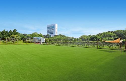 Kamitonda Hotel | Nanki Shirahama Dog Paradise