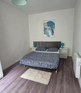 Coulmiers-Jardin des Plantes Apartment | Naoned Station