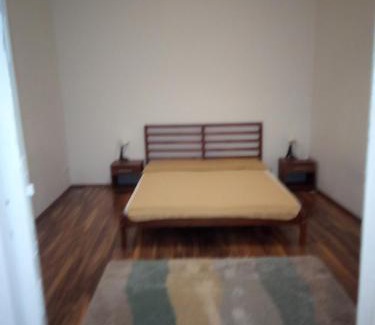 Nepszinhaz negyed Apartment | Napraforgó apartman