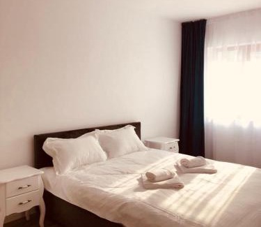 Piatra Neamt Apartment | NARCISA