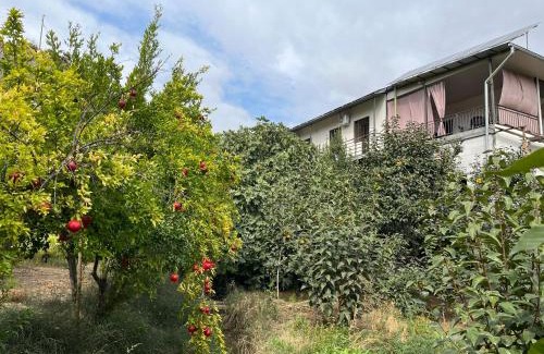 Meghri Apartment | NAREMA FAMILY HOTEL Meghri
