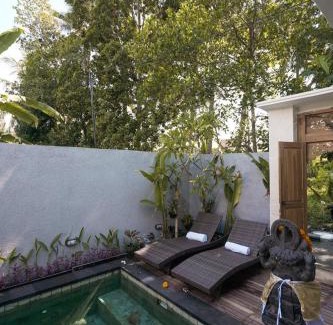 Singakerta Villa | Narendra Private Villa Ubud