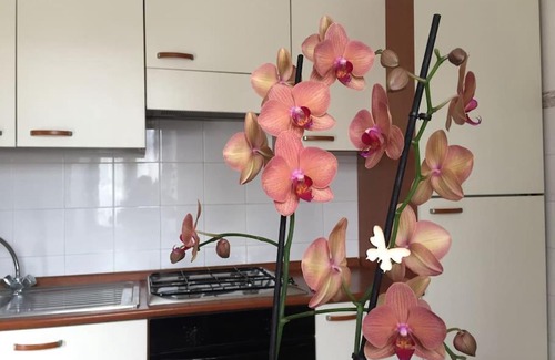 Narni Scalo Apartment | Narni.Umbria