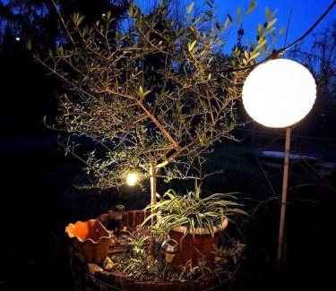 Narni House | Narniandum Est
