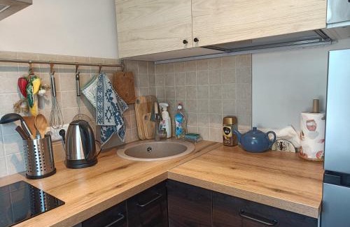 Narva Apartment | NarvaCenter 2, рядом с границей
