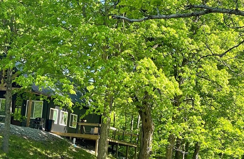 Clarkson Cabin | Nash’s cabin in Leitchfield that is Pet Friendly, WIFI, w/Creek.