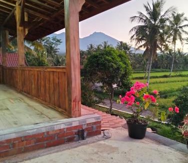 Kecamatan Montong Gading House | Nataqueen Bungalows Lombok