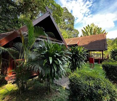 Kuala Tahan Resort | National Park Mutiara - Kuala tahan